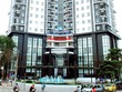 OGC: Lãi ròng hợp nhất 9 tháng hơn 148 tỷ đồng