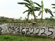 Chuyên gia Savills “bày” cách định giá đất nền