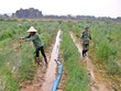 Vĩnh Phúc hỗ trợ các hợp tác xã phát triển, ứng phó cùng Covid-19