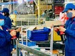 Khát lao động, doanh nghiệp chỉ phục hồi 50-70% công suất