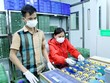 Bất chấp dịch bệnh, ngành công nghiệp Vĩnh Phúc vẫn phát triển tốt