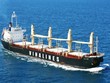 Vinalines kiện CTCP Container phía Nam (VSG) đòi cổ tức từ năm 2007-2008