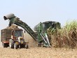 TTC Sugar (SBT) hoàn tất phát hành hơn 30,4 triệu cổ phiếu ESOP