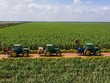 Quý III/2020, TTC Sugar (SBT) đạt lợi nhuận 134 tỷ đồng, gấp 3 lần cùng kỳ