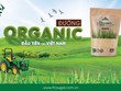 TTC Sugar (SBT) chốt danh sách cổ đông tham dự Đại hội đồng cổ đông 20/10