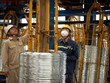 Hòa Phát xuất khẩu thép rút dây sang Malaysia