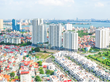 Ricons lợi nhuận đạt 103 tỷ đồng trong quý III/2019