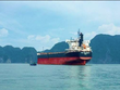 Hòa Phát mua thêm tàu The Prosperity tải trọng hơn 80.000 tấn