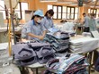 Chi nhập khẩu vải của ngành dệt may đã lên tới mức gần 11 tỷ USD