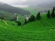 Bảo Lộc vui quên lối về chỉ với 500.000 đồng