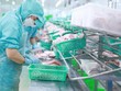 Cổ phiếu cần quan tâm ngày 16/9