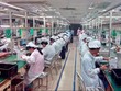 HSBC: Lấy lại hào quang chiến thắng