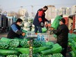 Nền kinh tế toàn cầu đang dần "phớt lờ" khỏi biến thể Delta