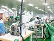 Kích thích kinh tế, chính sách tài khóa còn dư địa nhưng dấu hỏi là thời gian