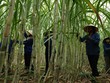 Cổ phiếu cần quan tâm ngày 13/10