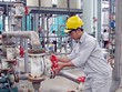 Cổ phiếu cần quan tâm ngày 14/12