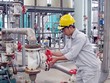 CSV xin ý kiến cổ đông về dự án thuê đất tại Khu công nghiệp Nhơn Trạch 6