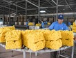 Cổ phiếu cần quan tâm ngày 3/1
