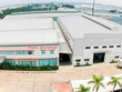 Thêm một sếp Công ty Dầu khí Thái Dương (TDG) bị phạt