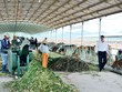 Các sếp Hoàng Anh Gia Lai liên tục bị xử phạt