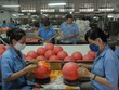 Lỗi công bố thông tin, Thành viên HĐQT CTCP Thể thao ngôi sao Geru (GER) bị phạt 20 triệu đồng