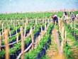 Danh tính công ty mua lại gần 40 triệu cổ phiếu HNG từ ông Trần Bá Dương