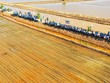 Lộc Trời trình diễn phun thuốc trên lúa bằng thiết bị bay không người lái