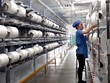 Sợi Thế Kỷ (STK): Nửa đầu năm báo lãi sau thuế hơn 140 tỷ đồng, tăng 156%