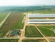 Tổ hợp trang trại bò sữa của Vinamilk tại Lào dự kiến đi vào hoạt động trong quý I/2022