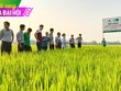 Chuyện ngược đời ở Lộc Trời (LTG): Đặt kế hoạch lợi nhuận thấp để hưởng thưởng lớn?