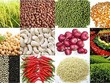 Thị trường hàng hóa tuần từ 17-24/12: Sắt, thép, nông sản tăng giá mạnh