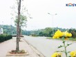 Mua nhà tháng 7 Âm lịch, thời điểm vàng hưởng lợi lớn