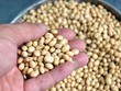 Thị trường hàng hóa tuần từ 14 -18/10: Trái chiều giá nông sản và kim loại