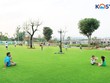 Công ty cổ phần KOSY thông báo phát hành cổ phiếu ra công chúng
