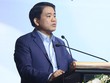Hà Nội trồng cây phong lá đỏ trên đường phố