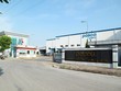 Posco bị nghi lẩn tránh thuế