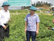 Đổi mới hoạt động Đảng trong các công ty cổ phần: Bản lĩnh người tiên phong