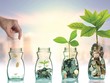 Sự trỗi dậy đáng kinh ngạc của ESG
