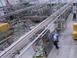 Phát triển bền vững không còn xa xỉ với doanh nghiệp