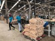 Kim ngạch xuất khẩu nông lâm thuỷ sản hơn 36 tỷ USD