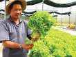Doanh nghiệp tìm đường đưa nông sản vào EU