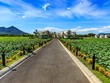 Tập đoàn Đầu tư Thăng Long (TIG) rót vốn vào Công ty Đầu tư tòa nhà công nghệ cao HDE