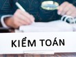 Khó kiểm toán doanh nghiệp dưới 50% vốn nhà nước