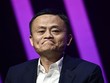Jack Ma thừa nhận không 'đủ trình độ' xin việc tại Alibaba