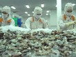 Xuất khẩu tôm sang EU giảm đột biến