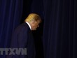 Hạ viện Mỹ sẽ bỏ phiếu chính thức về điều tra luận tội ông Trump