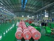 Đầu tư sản xuất và thương mại HCD (HCD) bị nhắc nhở chậm trả cổ tức 2017