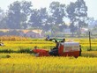 Tháo gỡ rào cản tích tụ đất đai cho doanh nghiệp