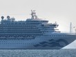 Nhật Bản: Thêm 41 người trên tàu Diamond Princess nhiễm nCoV