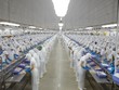 Doanh nghiệp thủy sản nhọc nhằn đi qua quý I